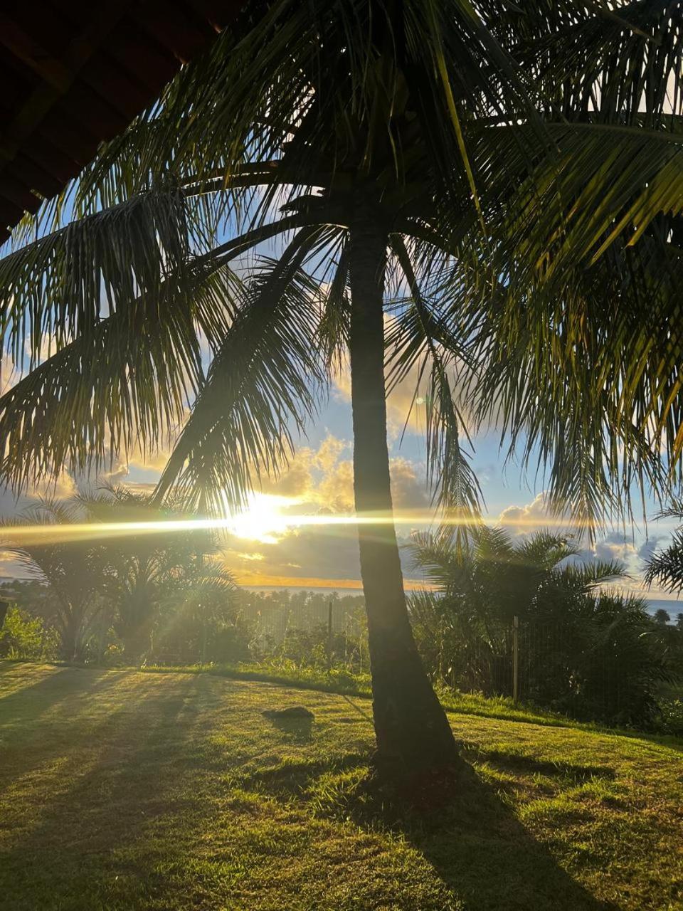 Pousada Riviera - Praia De Lagoa Do Pau Coruripe Dış mekan fotoğraf